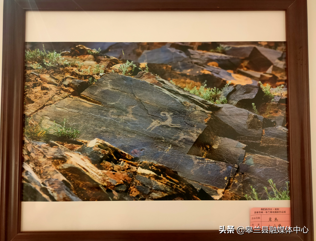 �����ؾٰ조��̩�һ��������滨����Ӱ��Ʒչ