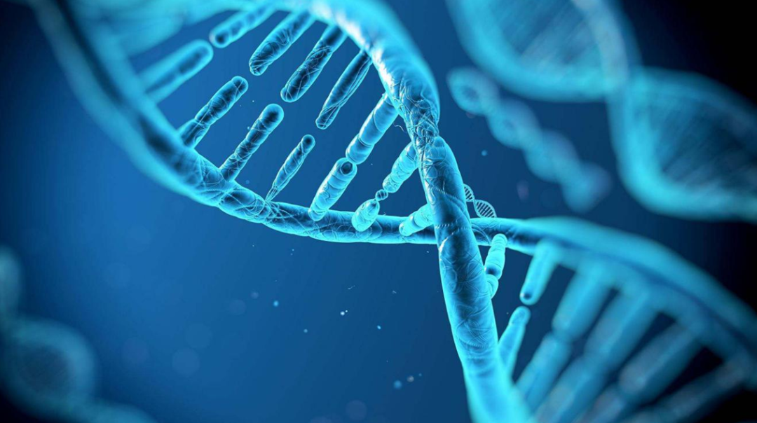 全球「抗疫」背景下，中国生物医药企业的核心能力是什么？