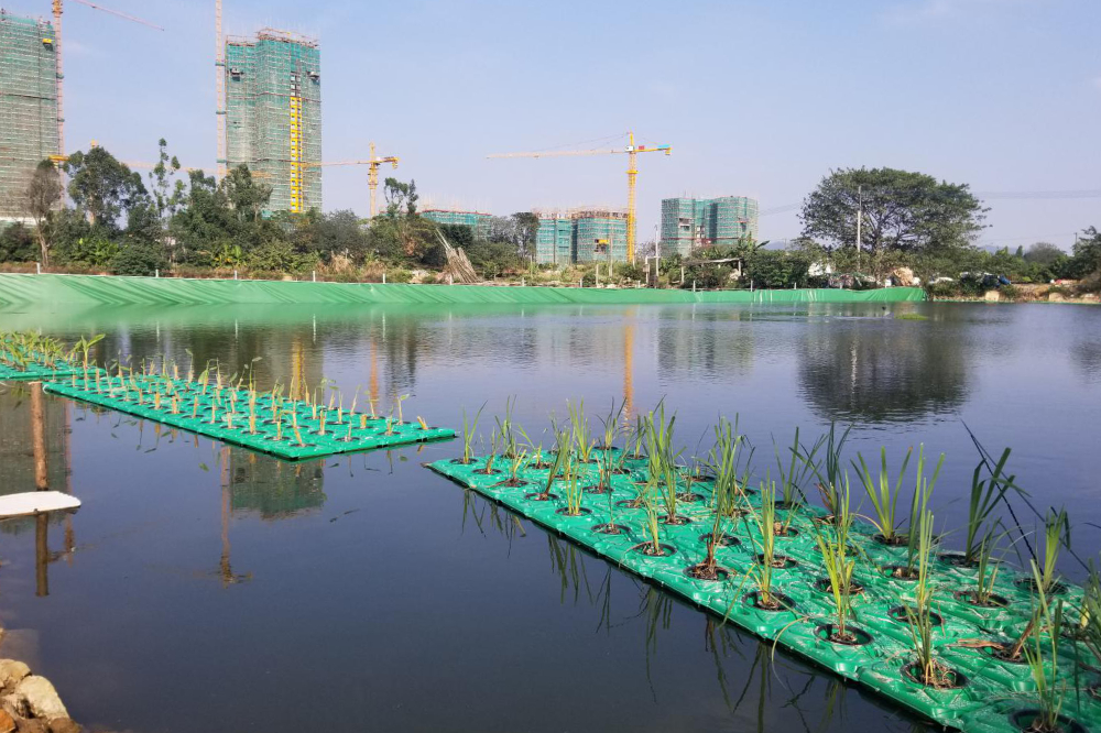 甘度河道治理成功案例（二）
