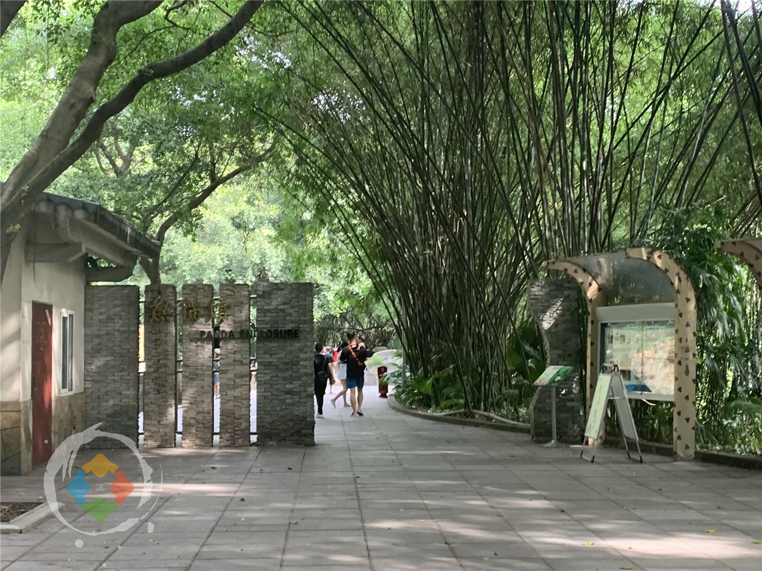 年纪最大的熊猫在哪里？重庆动物园的“新星”，迎来38岁生日
