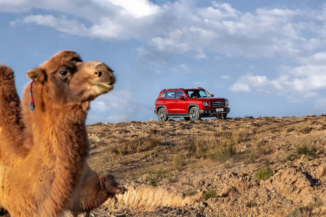 哈弗大狗——2020车企破圈成功案例分析