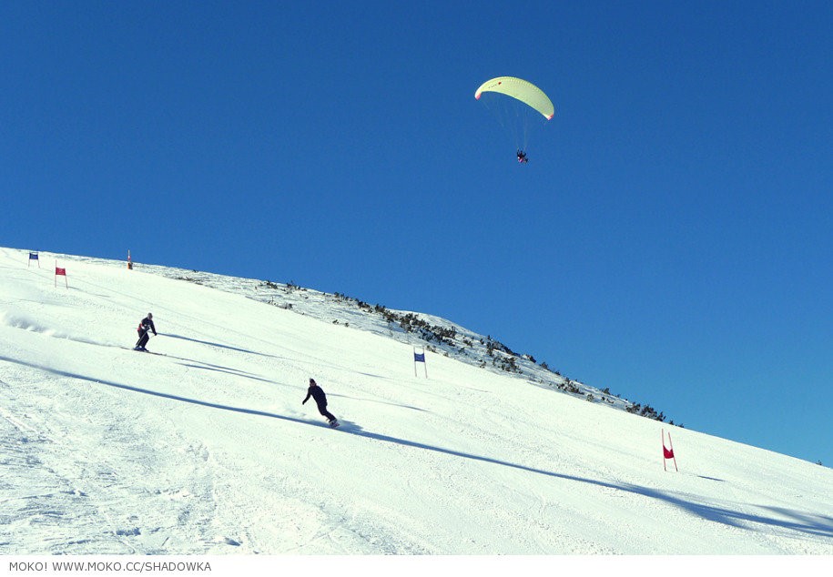 在欧洲也能实现“滑雪自由”之梦？当然可以！请收好这份指南