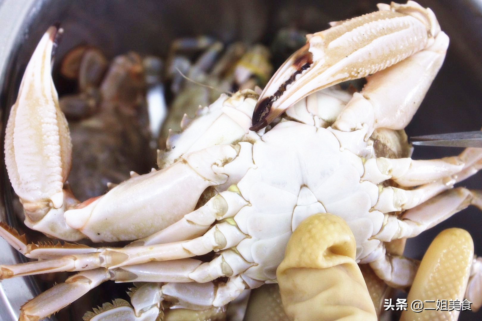 爱吃螃蟹但不会挑？老渔民教您2招，保准个个肥嫩，太香了