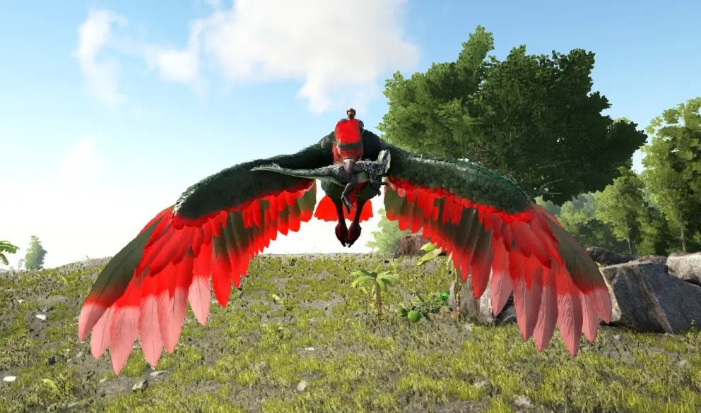 The anchor of "Ark Survival and Evolved" does not do human affairs?Ride