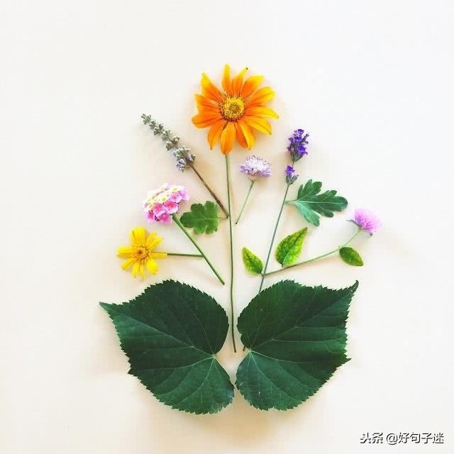 文艺而有韵味的句子 简短有格调的句子图片