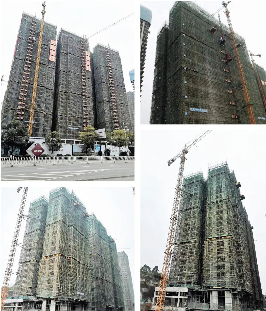 广西威壮集团2月月刊