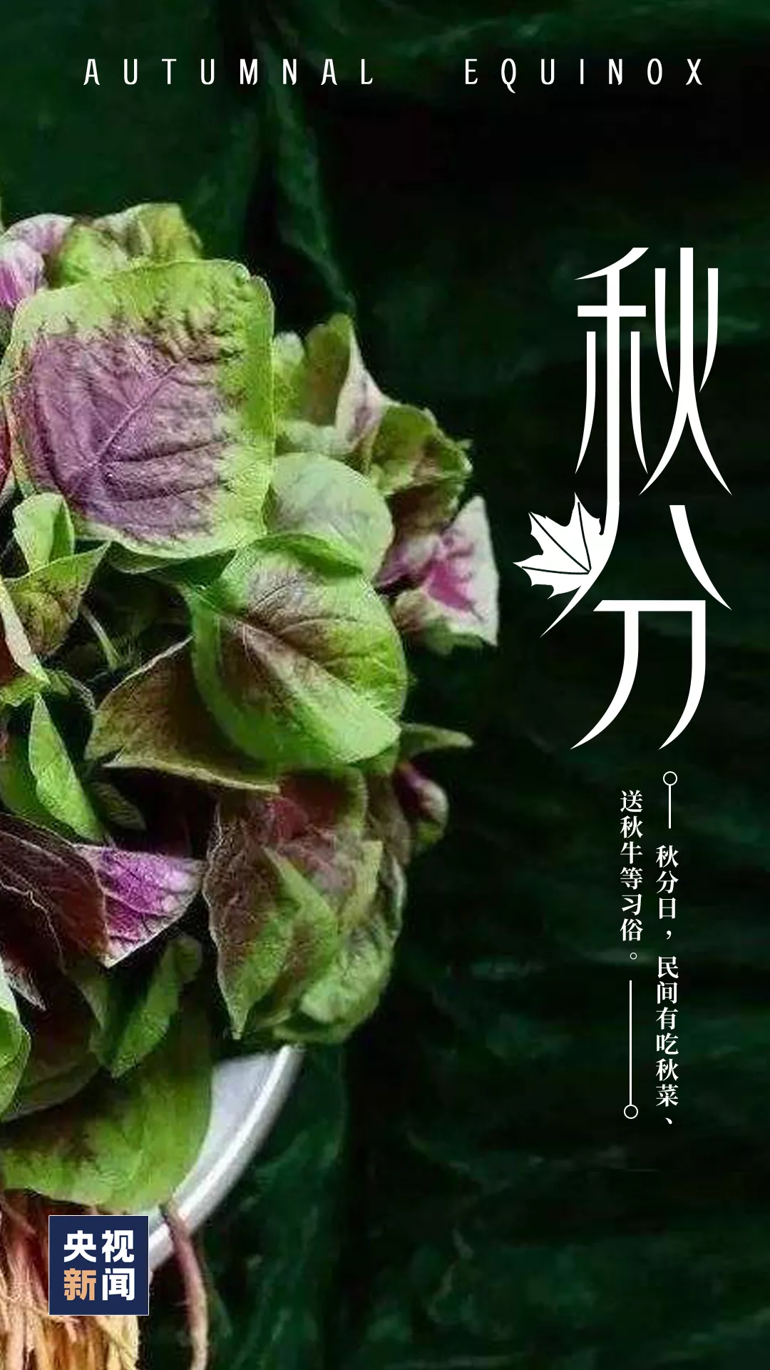 ⷨԷ
