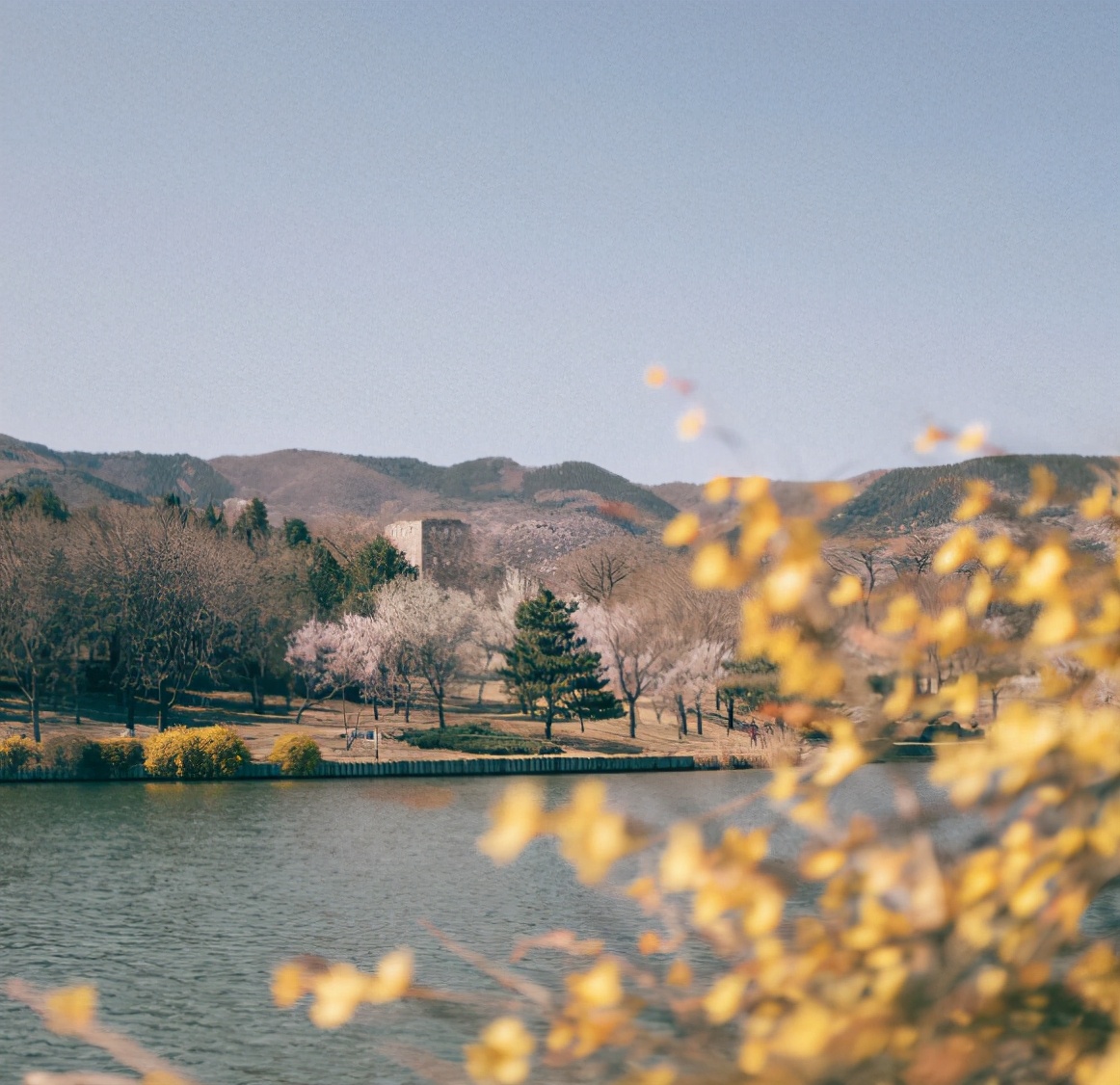 餘生很苦，珍惜那個讓你笑的人