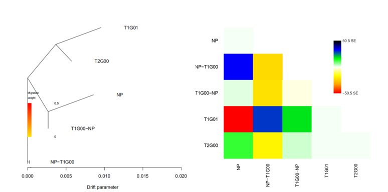 使用Treemix软件进行基因流分析简介
