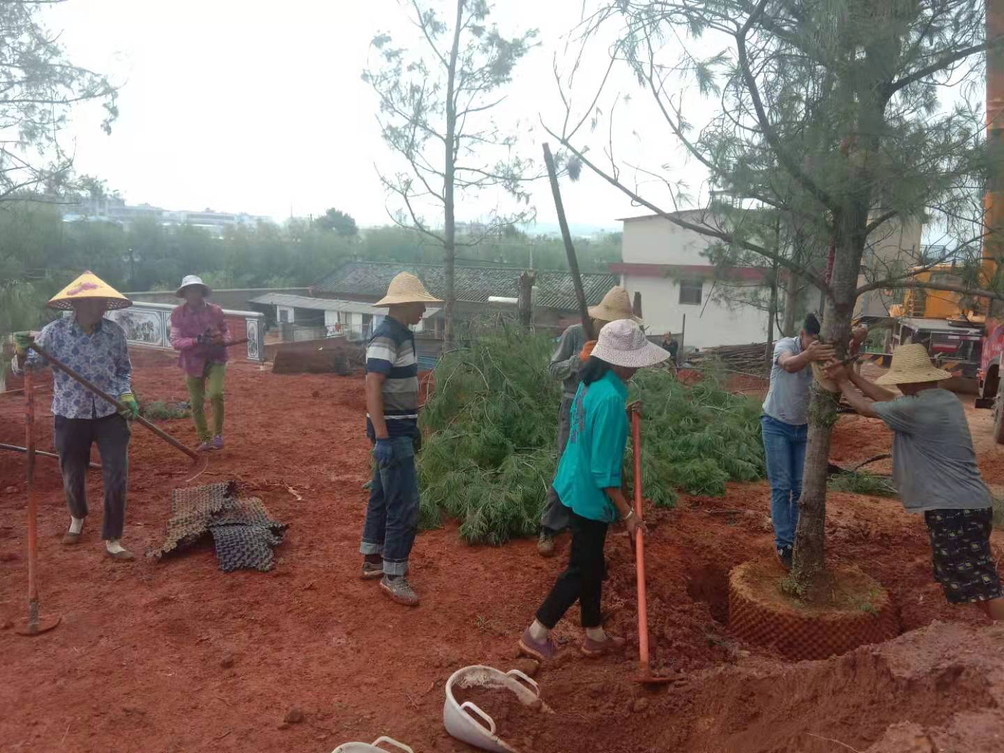 牟定县首个“互联网+全民义务植树”项目开工建设