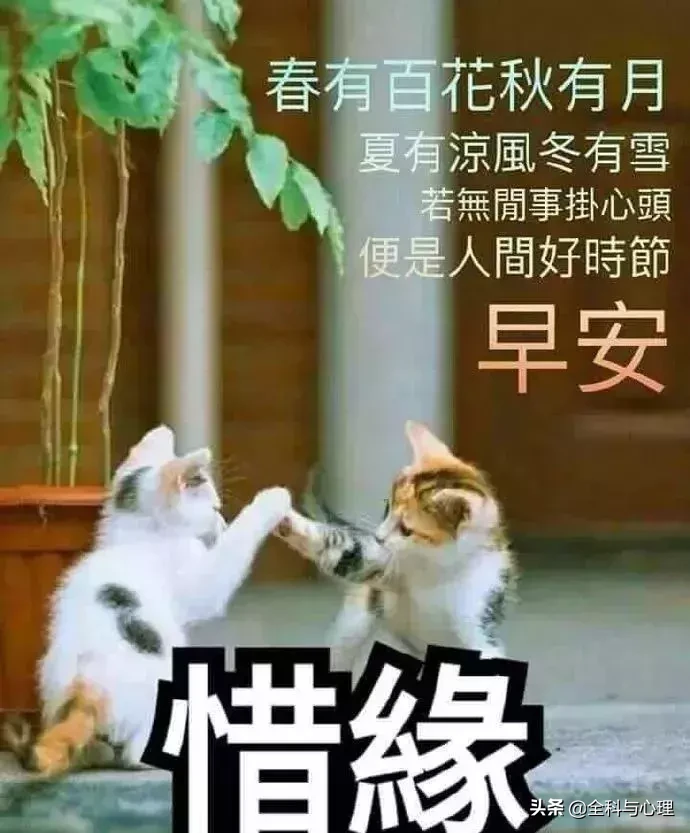 特别精美的清晨早安问候动态表情图片,早上好祝福语温馨句子