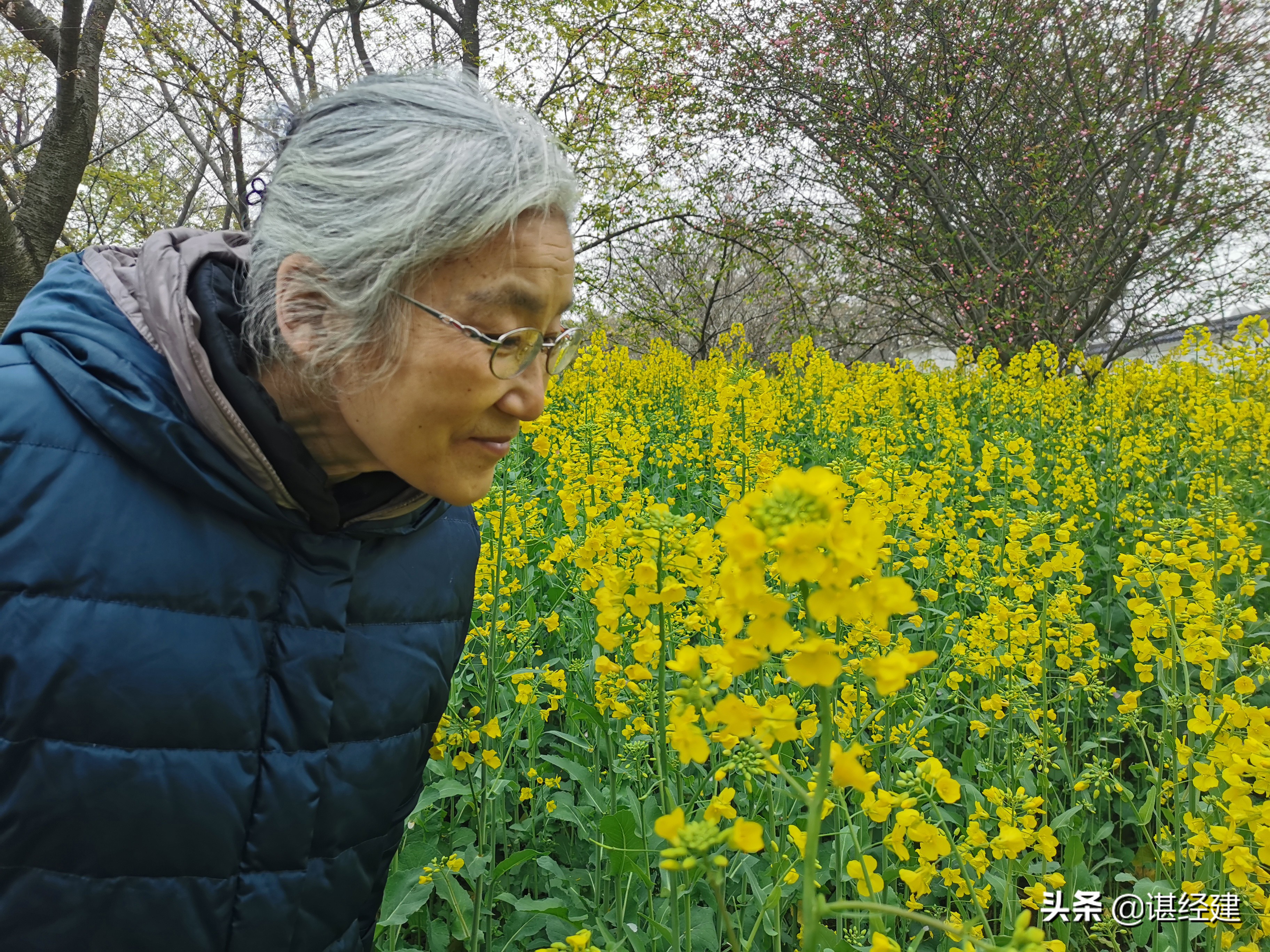 武汉好人圈及全国道德模范、中国好人喊你来汉看樱花