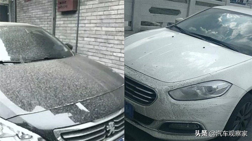 Is your car white? iMedia