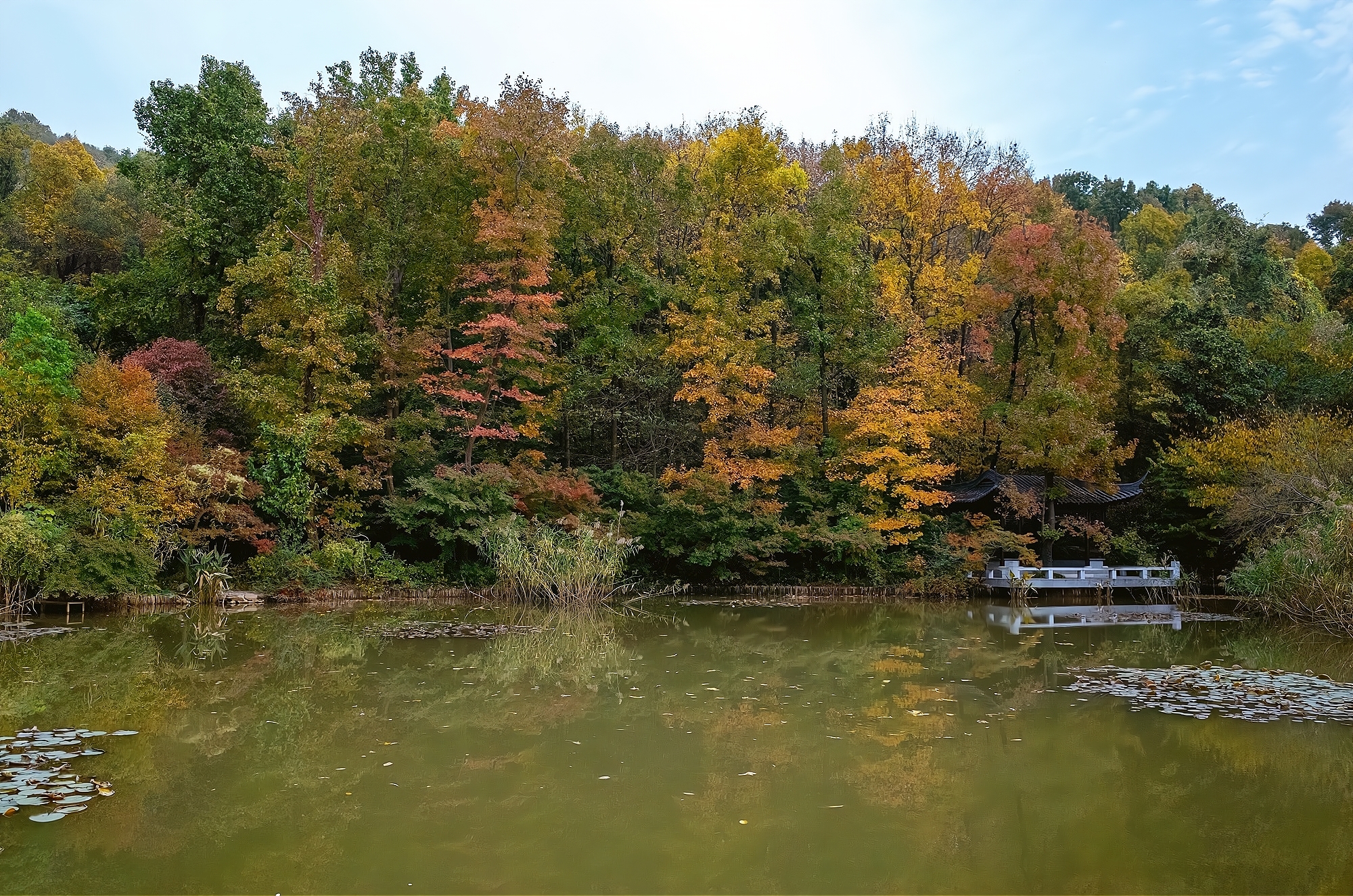 This mountain in Nanjing is the "First Mingxiu Mountain in Jinling" written by Emperor Qianlong. The scenery is more beautiful in autumn