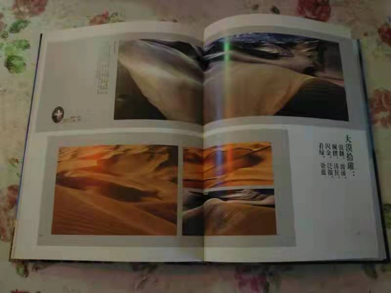 贺新郎·为李兵同学题画册