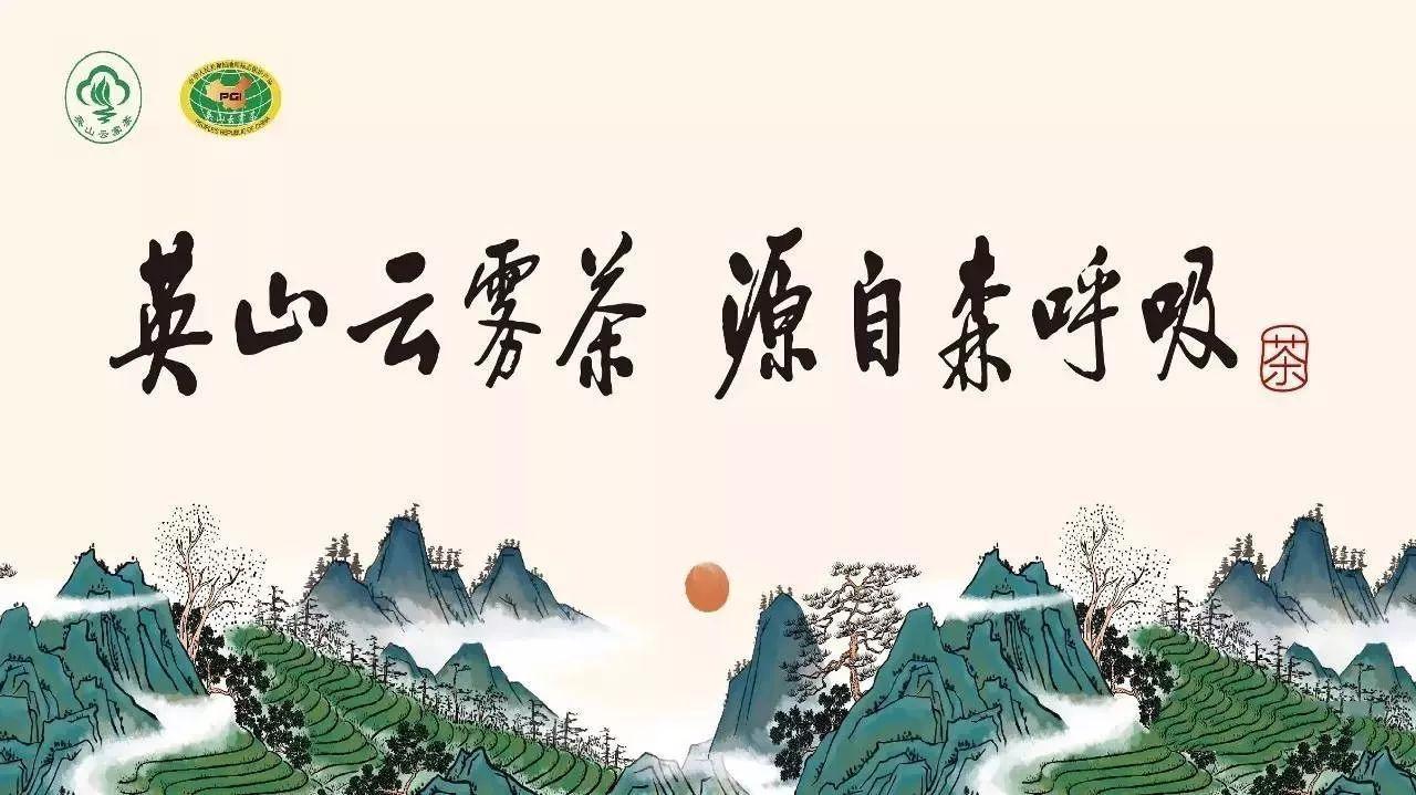 茶叶如何投放广告？英山茶叶在什么平台推广最好？