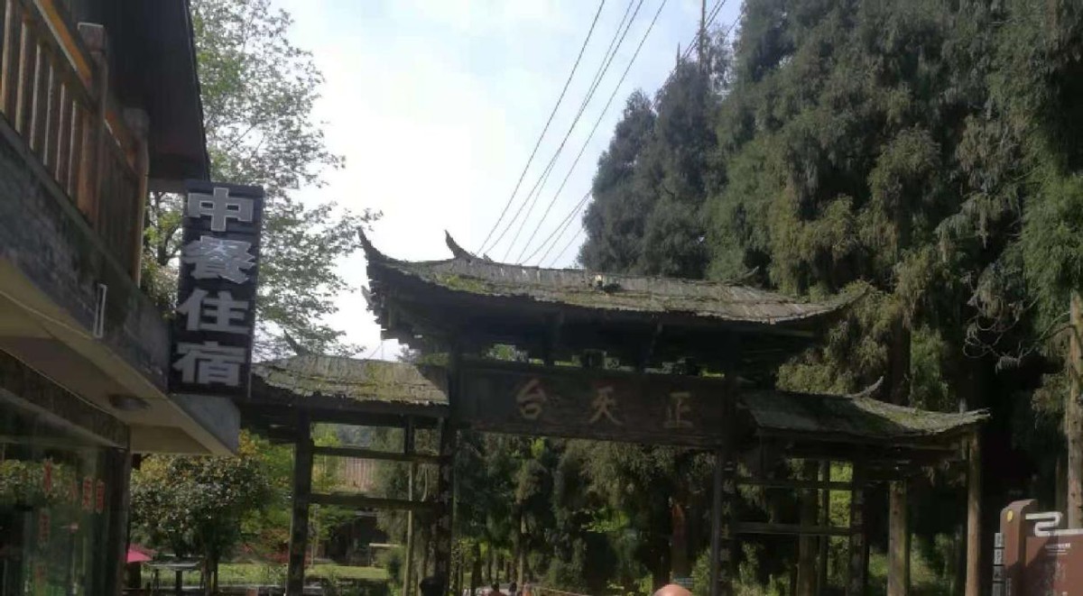 乡村振兴为什么如此重要？乡村又如何振兴？
