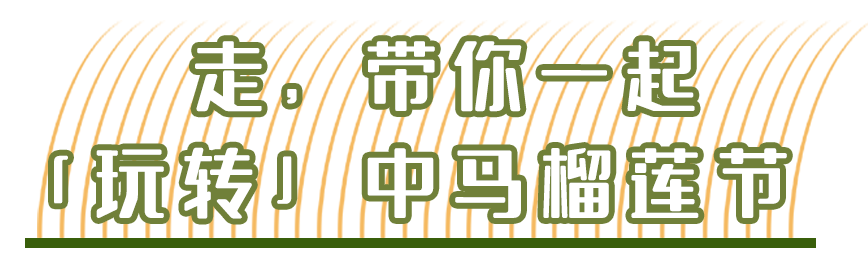 猫山王榴莲免费吃！难怪有大批南宁人即将
