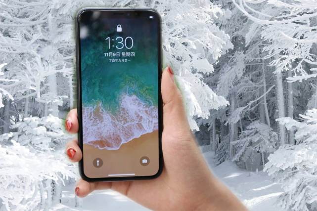 2018度山寨手机排名榜：苹果iPhone X喜提总冠军