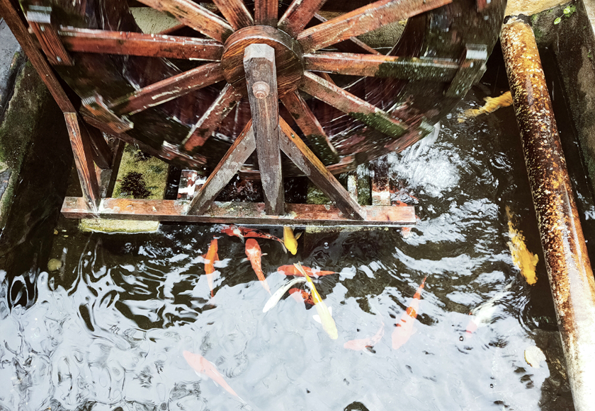 千元级5G手机耐看还有三摄？OPPO A72随拍体验