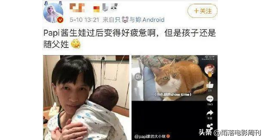 papi酱人设崩塌背后，告诉我们，女权or“道德绑架”？