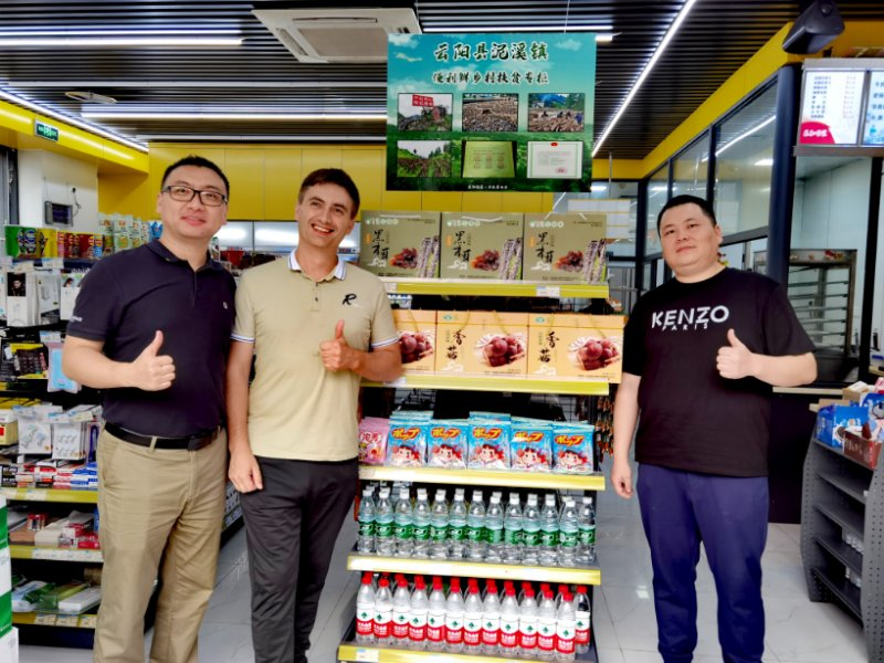 重庆云阳泥溪：小小黑木耳，撑起“脱贫梦”