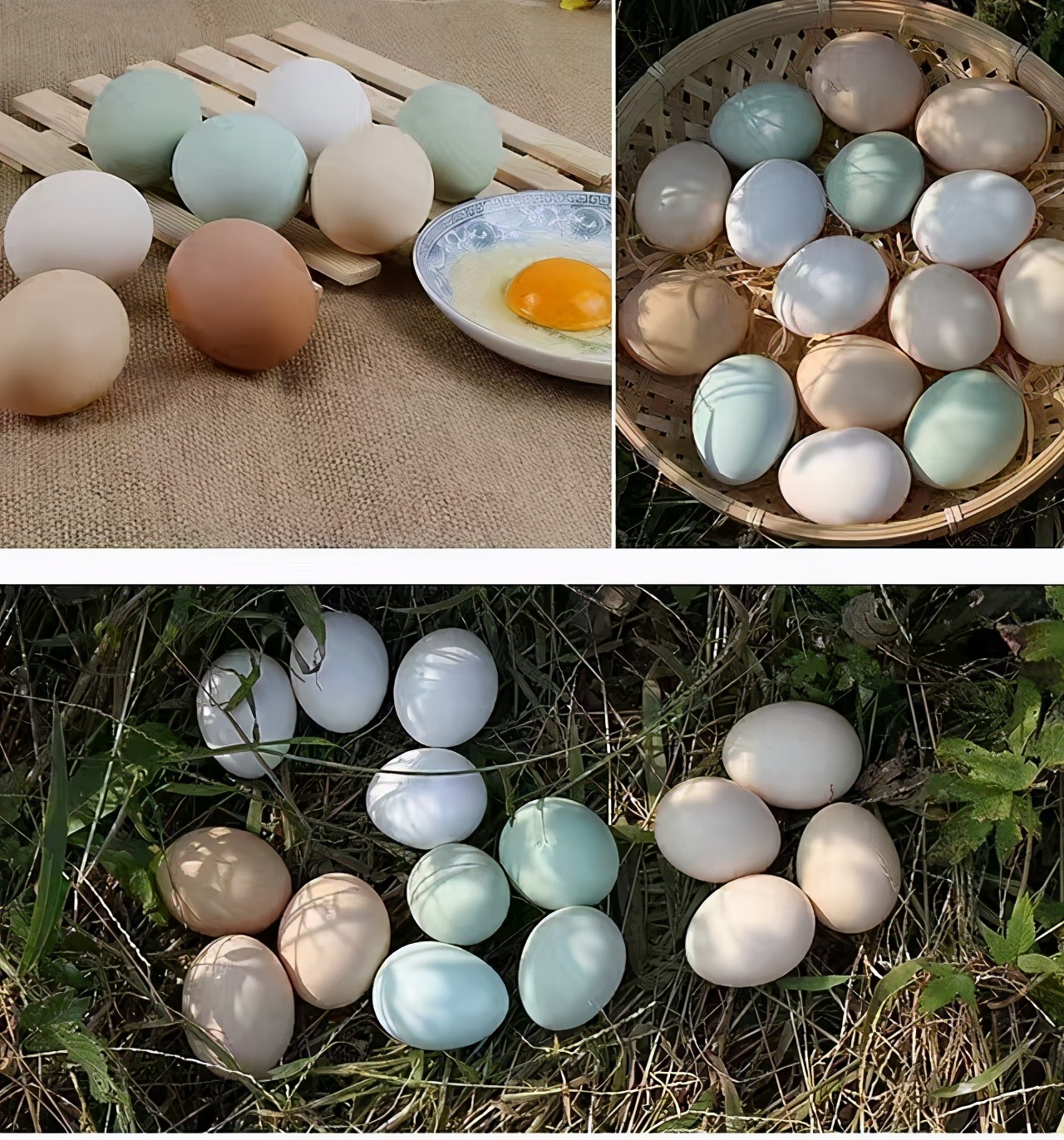 �׽����������Ļ����ν����湥�ԡ��ʺ�����