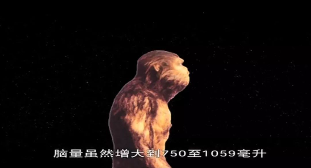 寻遍全球凑齐7部纪录片：给孩子完整的世界简史
