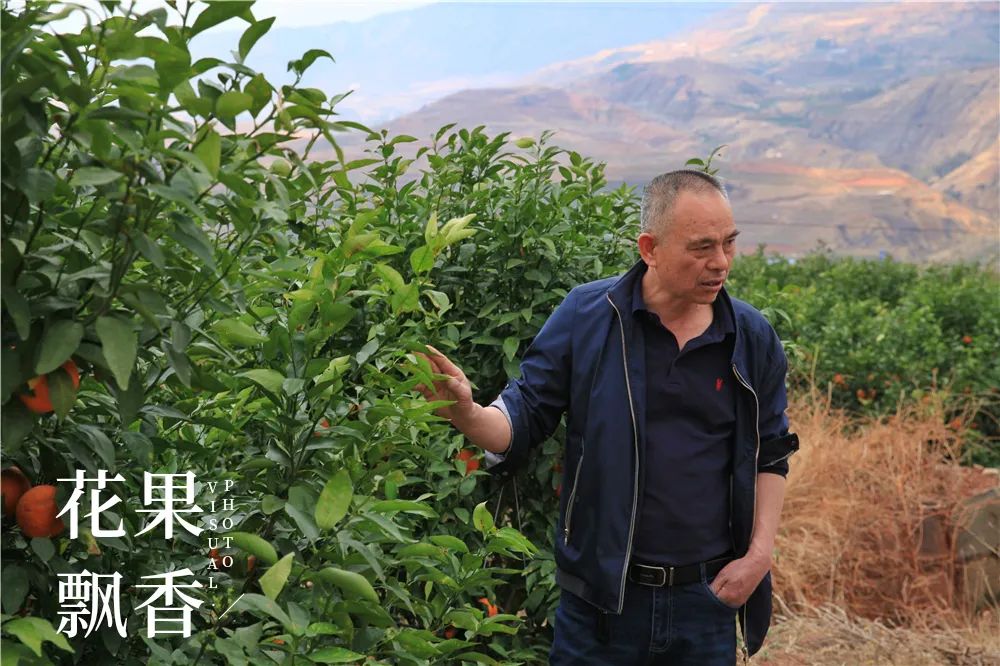 一位浙江老板的农业投资理念：如果挣不到钱，都是白搭