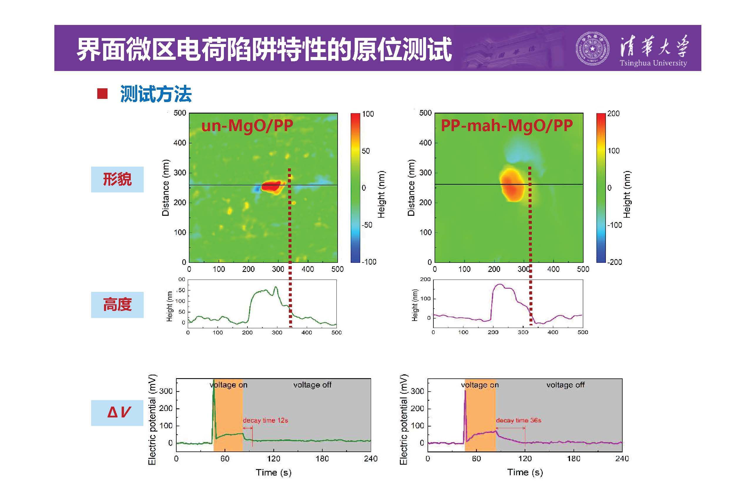 清华大学李琦副教授：介电纳米复合材料界面微区的原位测试技术