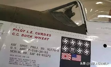 打完德意日的美国陆航王牌，打下友机，却救下