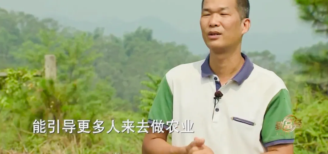 他养鹅养出2000万，咋做到的？