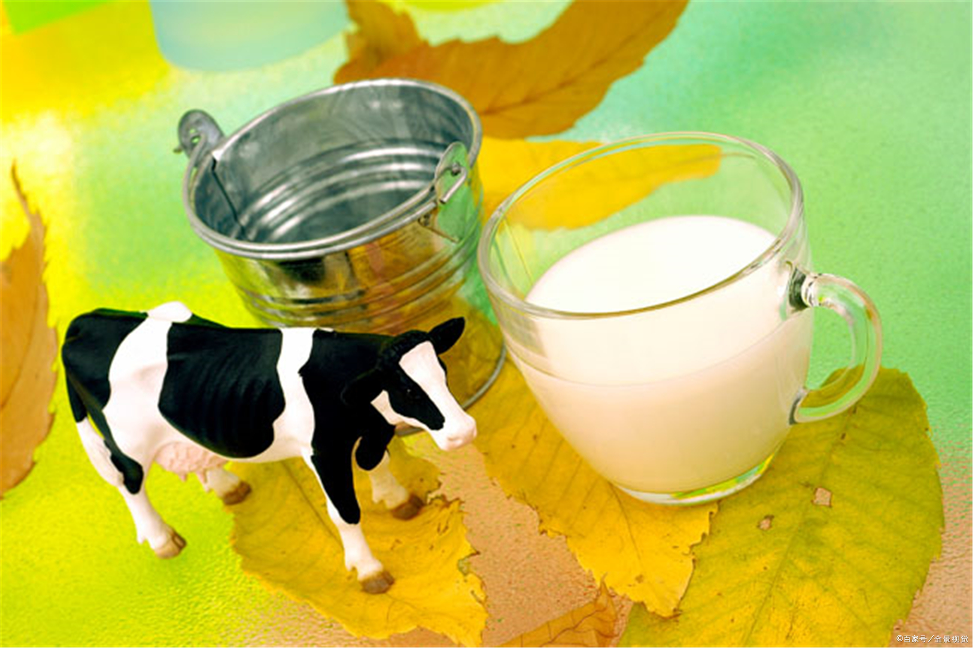 補鈣要喝骨頭湯？ 骨科醫生告訴你真相！ 要補鈣還得靠這4寶