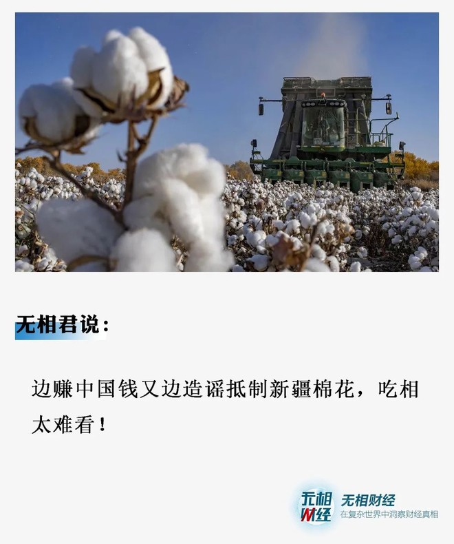 新疆棉事件的真相：表面是棉花问题，背后全是