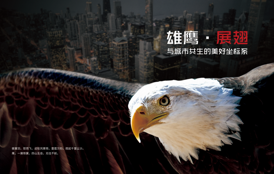 2020�Ĵ���Ӫ��ҵ100ǿ�񵥳�¯���۷ɼ�������������Χ