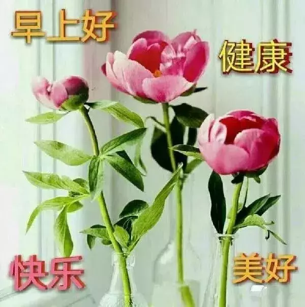 早上好祝福动态表情图片送给好朋友图片
