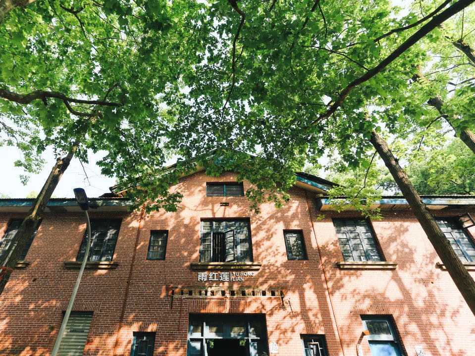 重庆考生最喜欢报考哪里的大学？本地很吃香，成都是第二优选