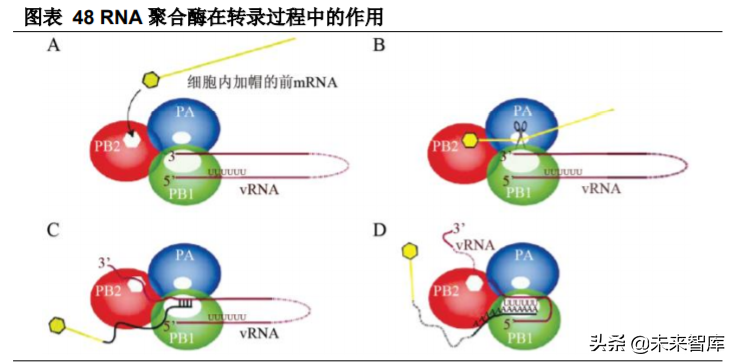 生物医药行业专题报告：抗流感市场快速增长