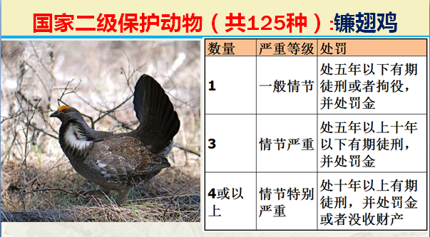 国家最新125类二级野生保护名录，图片及违法对应刑责