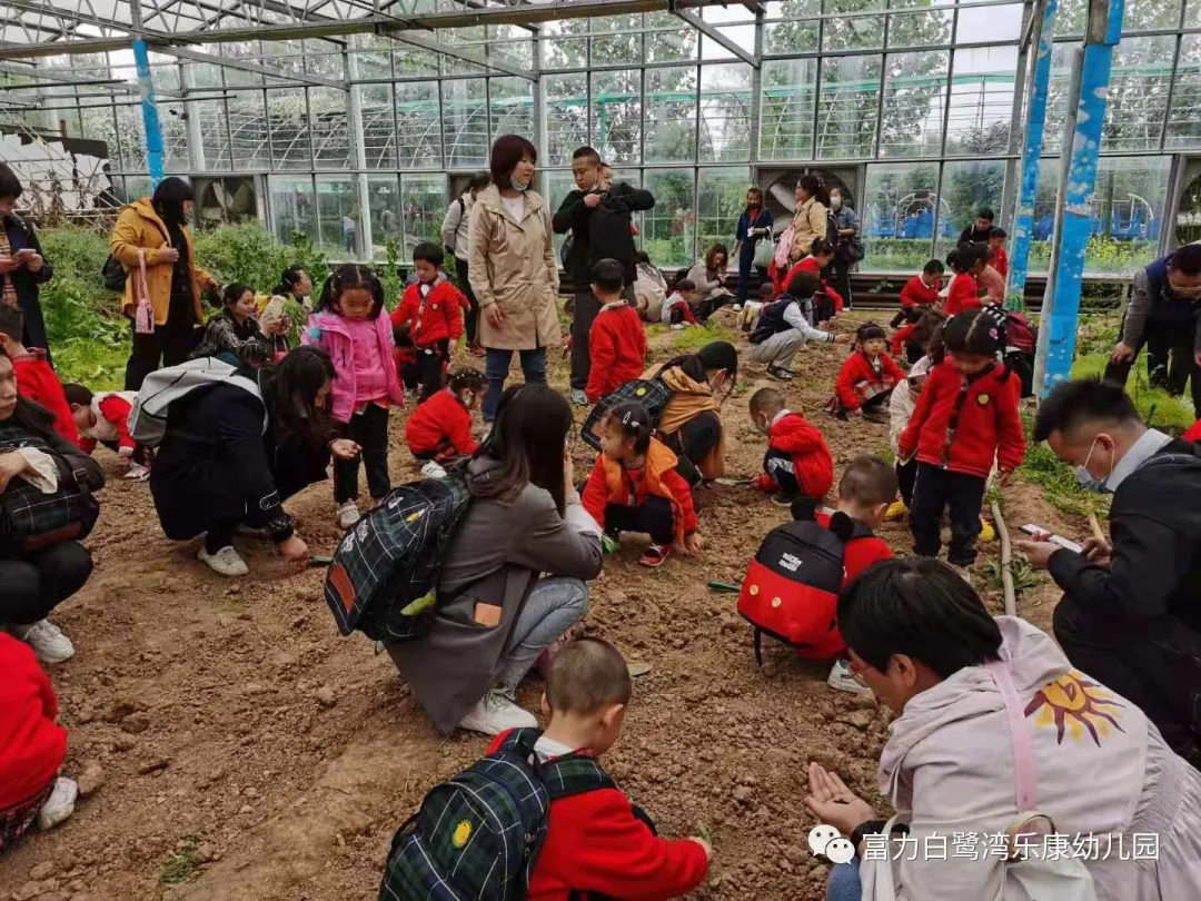 「活動回顧」:富力白鷺灣樂康幼兒園親子社會實踐活動走進新未來