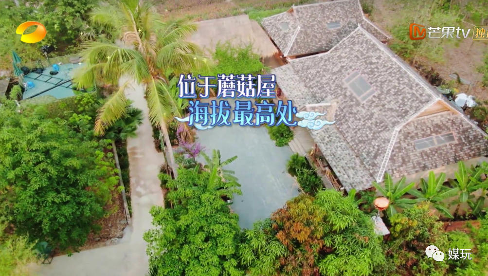 《向往的生活4》首播，今年的蘑菇屋“户型”太牛，摄像机零穿帮
