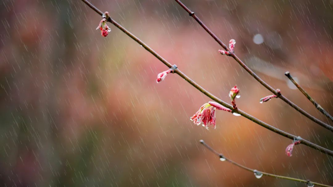 下雨时，最适合发朋友圈的30句诗词-第3张图片-诗句网