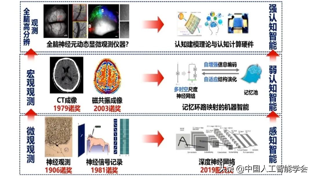 實錄丨戴瓊海：深度學習遭遇瓶頸，全腦觀測啟發下一代AI演算法