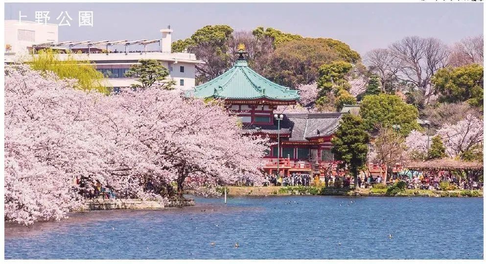 首付￥10万起在东京黄金地段当房东丨东京浅草花园酒店