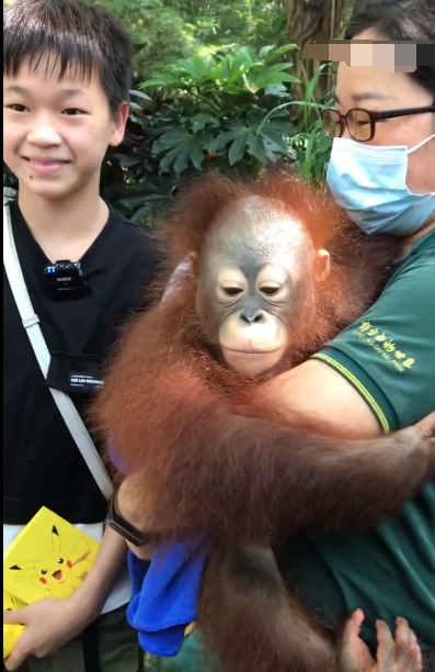 全红婵完成小目标，师哥带她去动物园，看老虎跳水，网友留言亮了