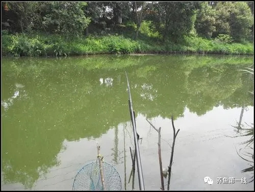 養(yǎng)殖水體中溶解氧的變化規(guī)律及其影響溶氧變化的因素