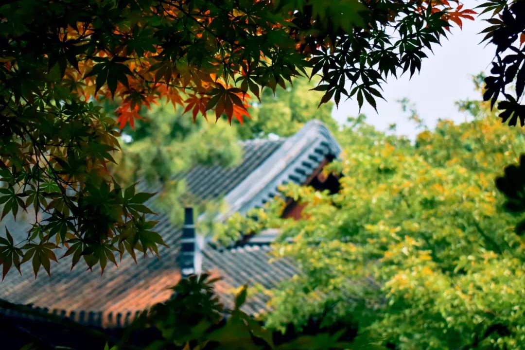 柳永最经典的20首宋词，你可以不会背，但一定要读一次-第8张图片-非凡网