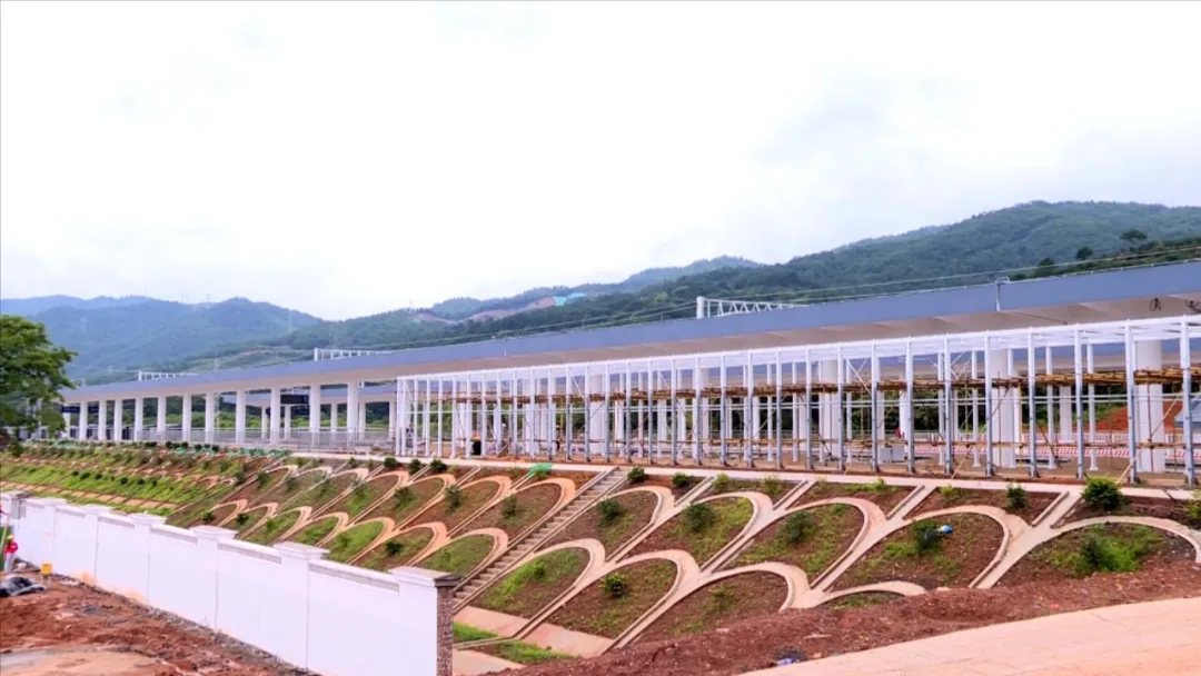 ​「学习贯彻习近平总书记“七一”重要讲话精神」连城：做足做实“四篇文章”全力提升幸福指数