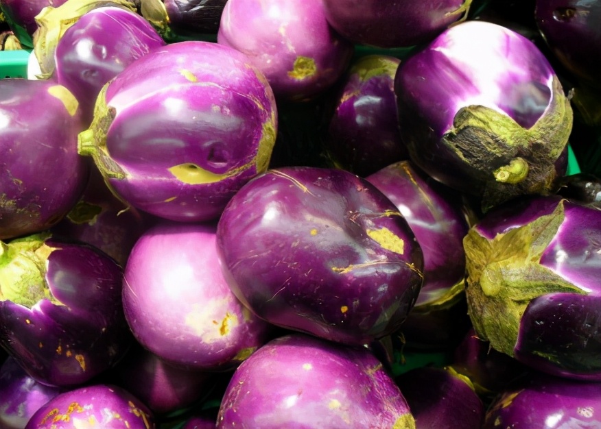 Is it better to buy long eggplants or round eggplants? It turns out