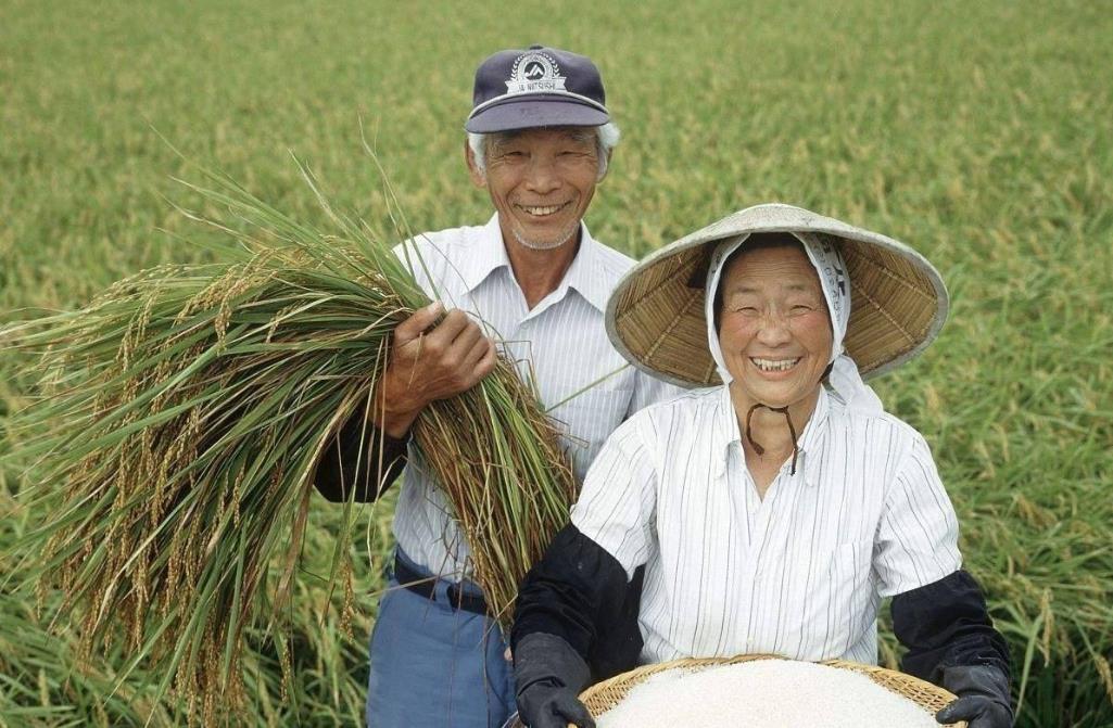 千与千寻中，一个名字为何那样重要？和日本的国民素质大有关系